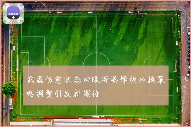 武磊伤愈状态回暖海港锋线轮换策略调整引发新期待